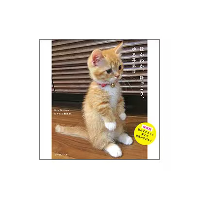 Kitten hardcover book - book, warm