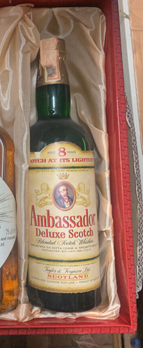 Ambassador 8yo bot s - ambassador,