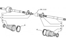 7739016 - 7763607 Semialbero