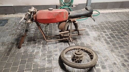 Romeo fratelli sport - romeo, 50