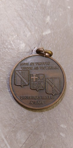 Medaglia scuola di - ,