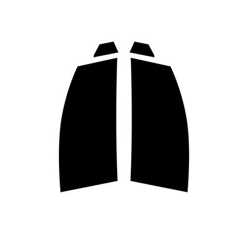 Tinta finestrini auto