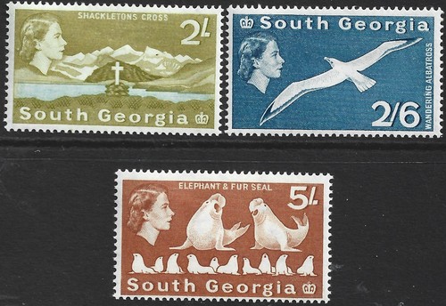 Isole falkland georgia - georgia, del