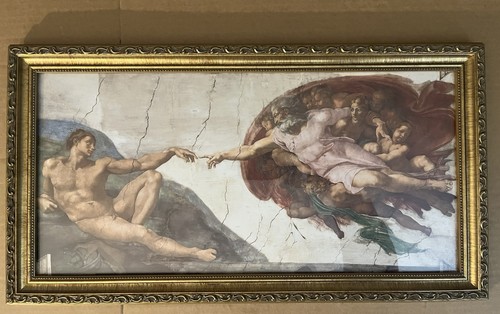 Michelangelo creazione - la,