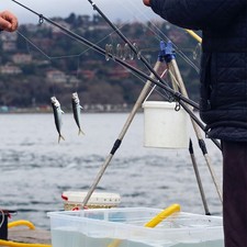  Portacanne da pesca da 4