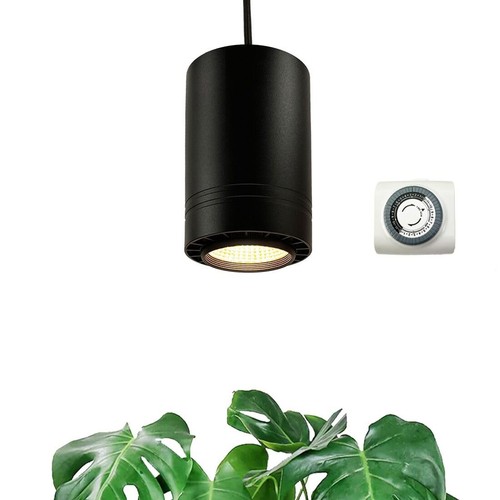 Luce coltivazione a - luce,
