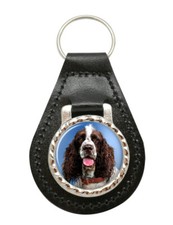 Springer Spaniel Inglese Pelle