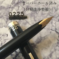 Penna stilografica PLATINUM