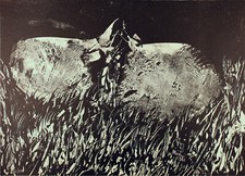 Mattia MORENI 1971  Un'anguria