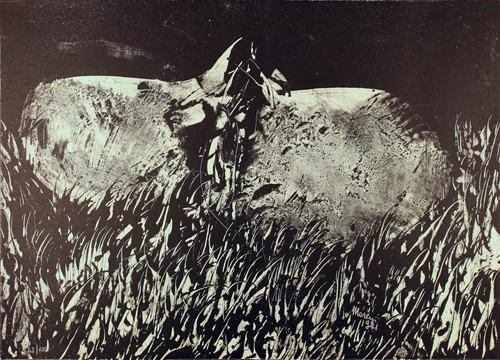 Mattia moreni 1971 anguria - mattia,