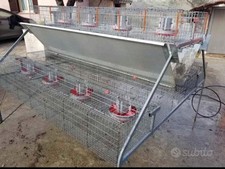 Gabbia Per Conigli 48 Posti