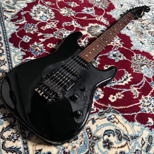 Fernandes fst accordatori - fernandes,
