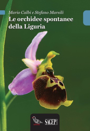 Orchidee spontanee della - le,