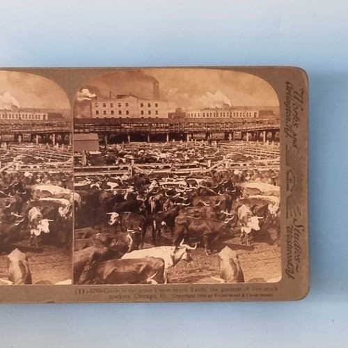Chicago stereoview c1903 - chicago,