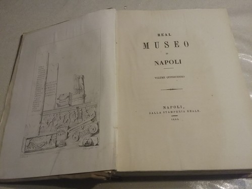 Real museo borbonico - museo, xv
