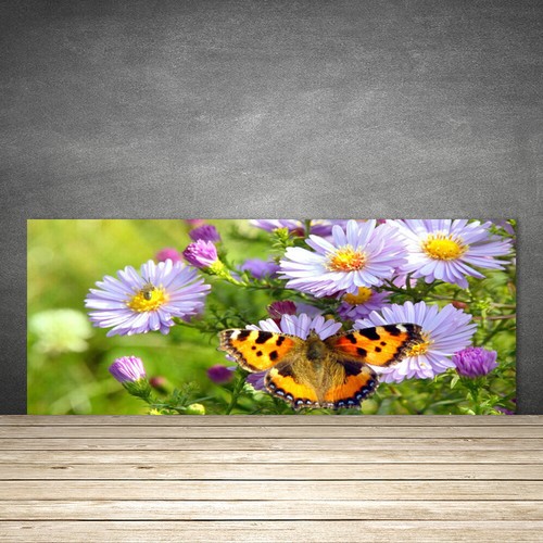 125x50 paraschizzi vetro - in,