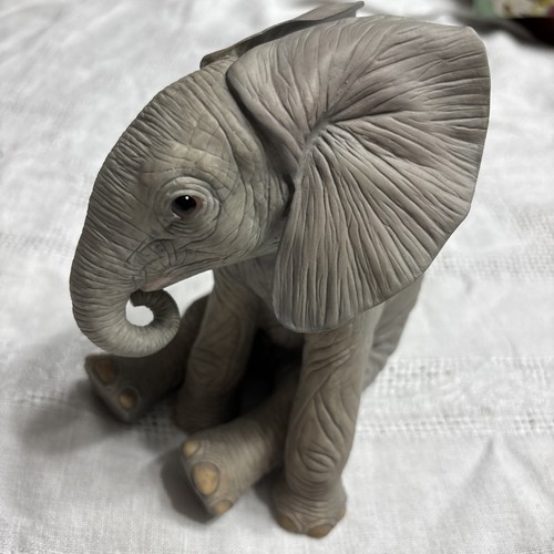 Lenox elefante africano - lenox,