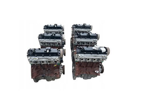 Motore renault dci - motore,