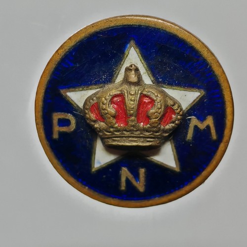 Distintivo partito nazionale - distintivo,