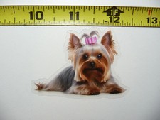 YORKSHIRE TERRIER YORKIE CANE