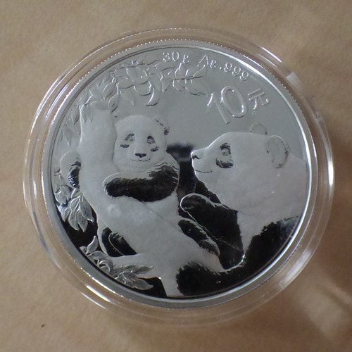 China yuan panda 2021 - panda,