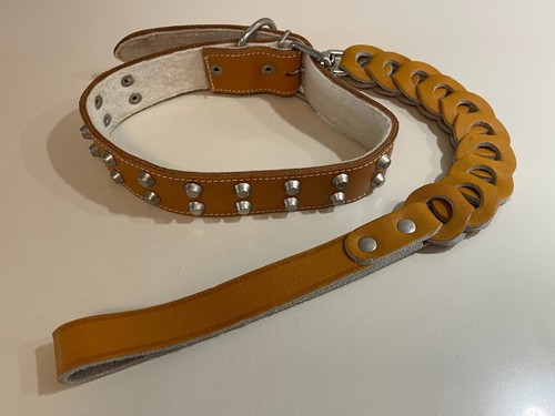 Collare guinzaglio in - &, pelle