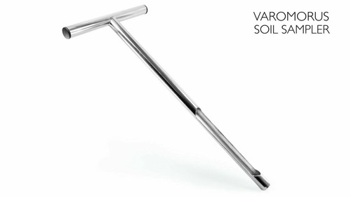 Varomorus suolo campione - varomorus,