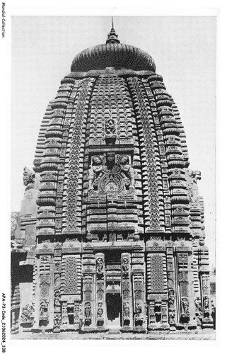 Apap3 0172 inde bhubanneswar - apap3-0172-inde,