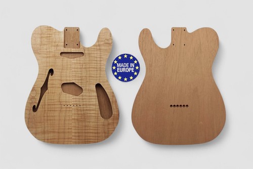 Tele thinline style - 69, s