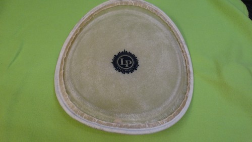 Testina batteria conga - testina, lp