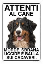 BOVARO DEL BERNESE Attenti al