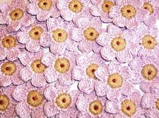 20 FIORI UNCINETTO CROCHET 3