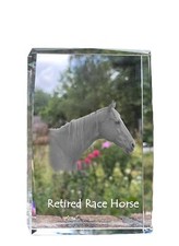 Cavallo da corsa in pensione