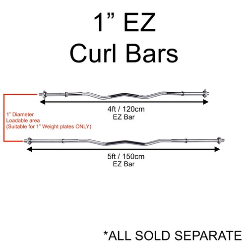 Exersci spinlock curl - ez,