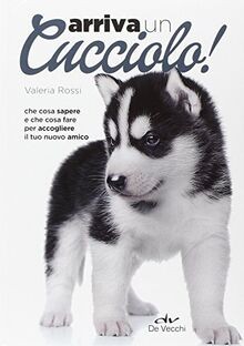 Arriva cucciolo che - che, cosa