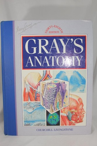 Gray anatomy the - anatomy:,