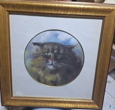 Dipinto Antico Pastello . GATTO