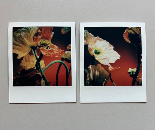 Polaroid edizione - 2,