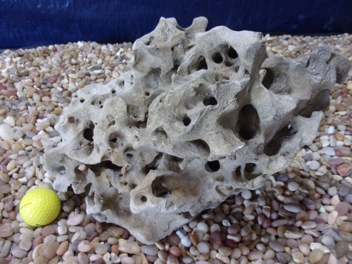 Texas holey rock - texas/tn,