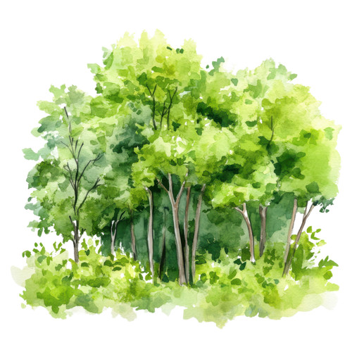 Adesivo murale - , foresta