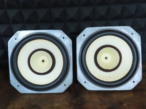 Fostex oem coppia - fostex, oem?