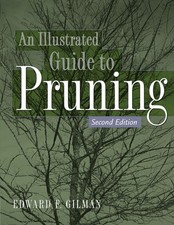 Illustrated Guide to Pruning