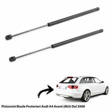 2 MOLLE  A GAS PISTONI