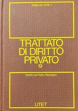 Trattato di Diritto Privato.19: Tutela dei diritti, tomo primo