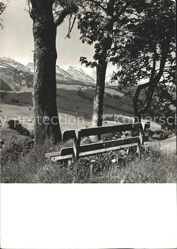 Casetta selvaggina - sg,