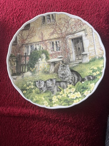Royal albert cats and - albert,