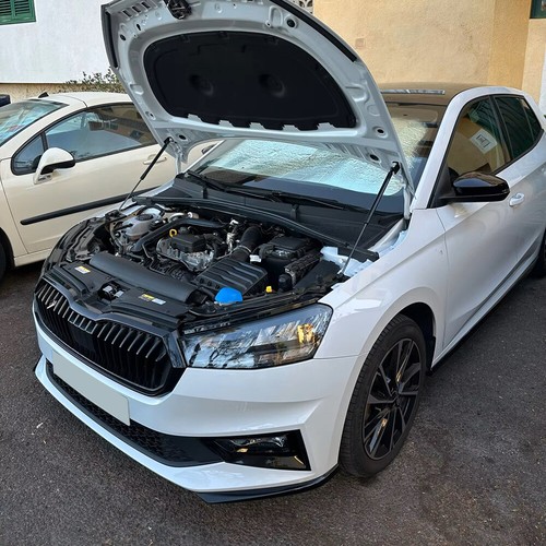 2xcoppia molla gas cofano - a,
