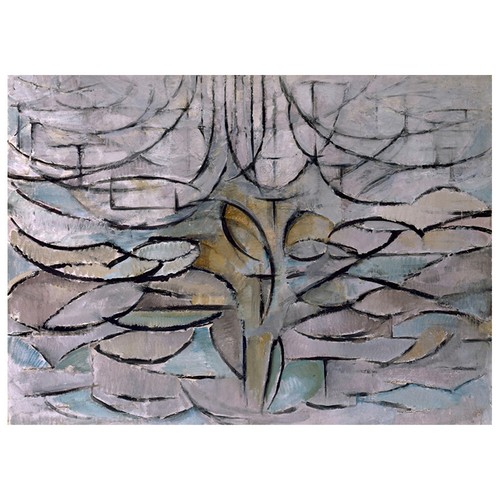 Stampa tela melo in fiore - -,