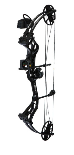 Bear shootout rth arco - bear,