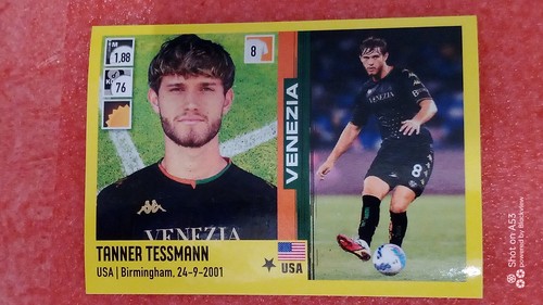 Figurine calciatori panini - figurine,